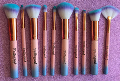 10 piece Cotton Candy Brush Set