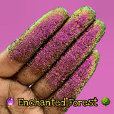 Enchanted Forest